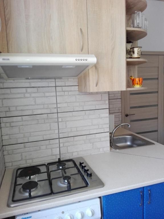 Апартаменты Apartment on Kryvorizhstal Street 35 Кривой Рог